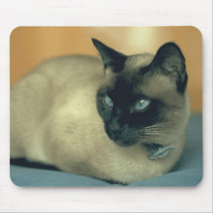 Siamesische Katze Mousepad