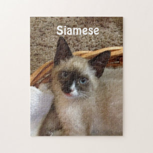 Siamesische Katze niedlich Puzzle