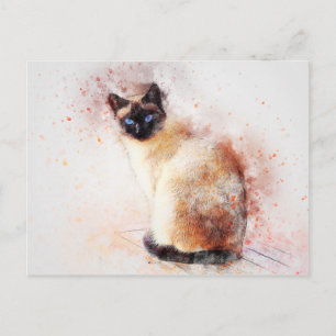 Siamesische Katze Postkarte