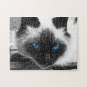 Siamesische Katze Puzzle