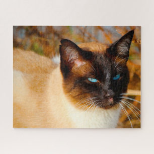 Siamesische Katze . Puzzle