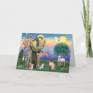 Siamesische Katze und St. Franziskus Karte