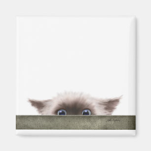 Siamesische Katze verfolgt dich Cartoon Magnet