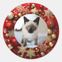 Siamesische Katze Weihnachten