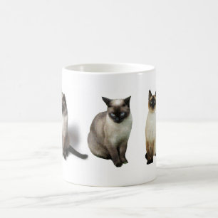 Siamesische Katzen Tasse