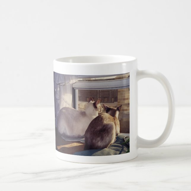 Siamesische Katzen zwei an Fenster (2) Tasse (Rechts)