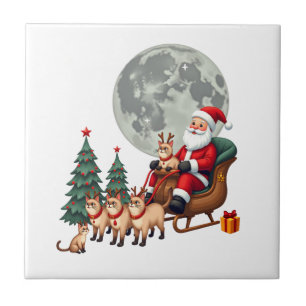 Siamesische-Rentier-Weihnachten Siamesische-Katzen Fliese