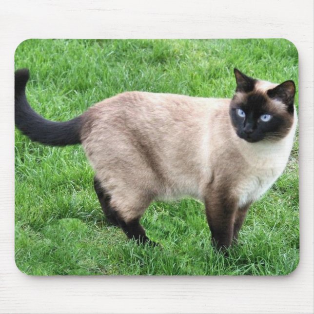 SIAMESISCHE SCHÖNHEIT MOUSEPAD (Vorne)
