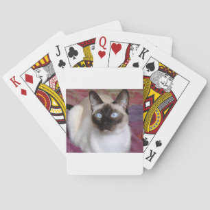 SIAMESISCHE SCHÖNHEIT SPIELKARTEN