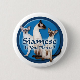 Siamesischer Aquarell-Knopf Button
