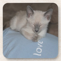 Siamesischer Kätzchen-Untersetzer