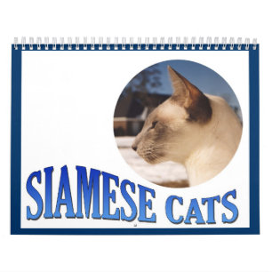 Siamesischer Katzenkalender 2024 Kalender