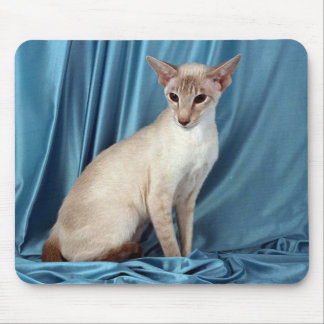Siamesischer, lila Punkt Mousepad