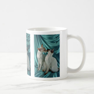 Siamesischer, roter Punkt u. Siegelpunkt Kaffeetasse
