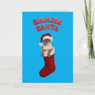 Siamesischer WeihnachtsStrumpf Karte