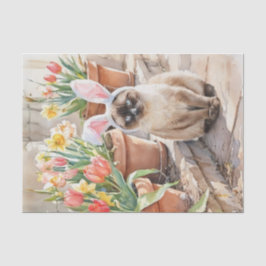 Siamesisches Häschen Süßes Osterkatze mit Tulpen  Seidenpapier
