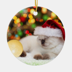 Siamesisches Kätzchen: Goldverzierung Keramik Ornament
