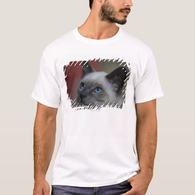 Siamesisches Kätzchen T-Shirt (Vorderseite)