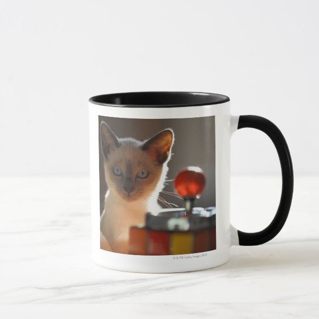 Siamesisches Kätzchen Tasse (Rechts)