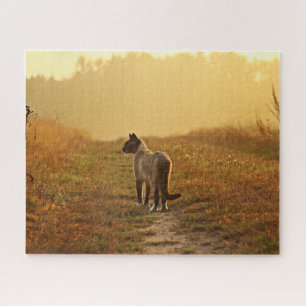 Siamesisches Katzenpuzzle Puzzle