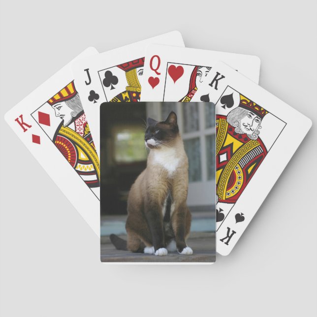 Siamische Katze auf der Porsche Spielkarten (Rückseite)