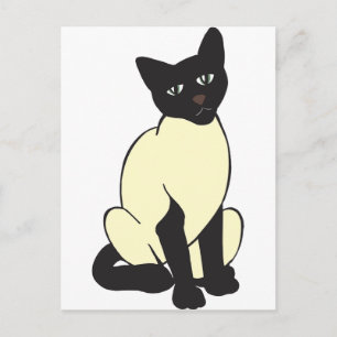Siamische Katzen Haustiere Niedliches Schicksal Ti Postkarte