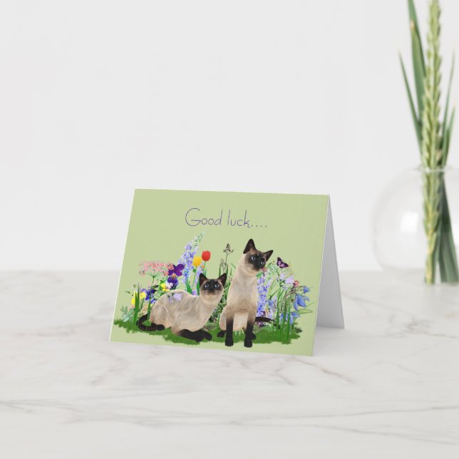 Siamische Katzen - Note Card Karte (Vorderseite)