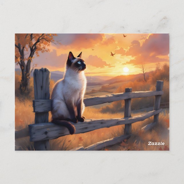 Siamkatze auf Splitterzaun Postkarte (Rückseite)