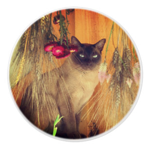 Siamkatze mit Blume Keramikknauf