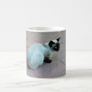 Siamkatze Tasse