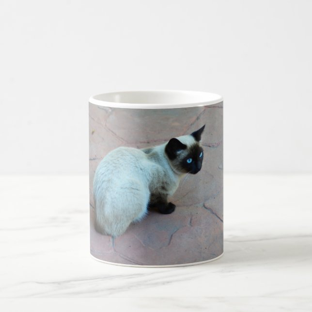 Siamkatze Tasse (Mittel)