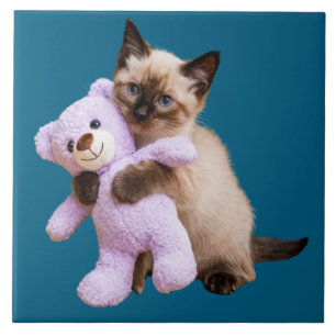Siamkatze und Teddybären dekorative Tile Fliese
