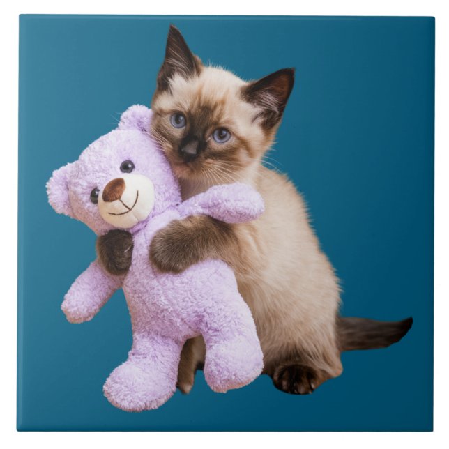 Siamkatze und Teddybären dekorative Tile Fliese (Vorderseite)