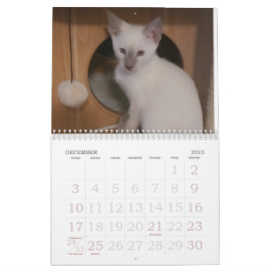 Siamkatzen Kalender