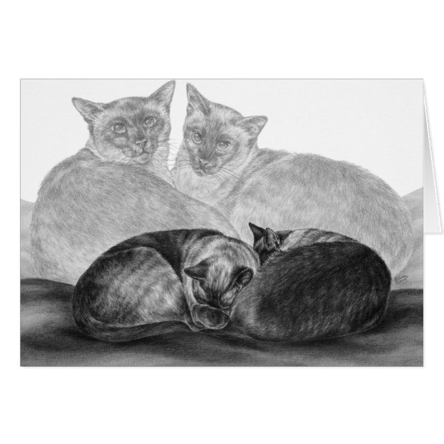 Siamkatzen Zeichnend von Kelli Swan (Vorderseite (Horizontal))