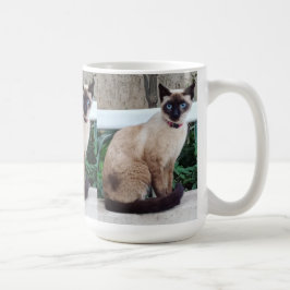 SIAMO CAT TASSE GIFT