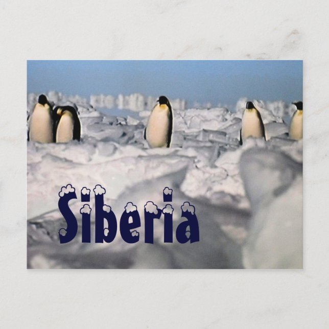 Siberia arctic winter postcard postkarte (Vorderseite)