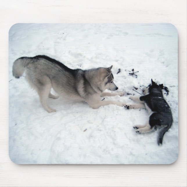 Siberian Huskies - Mousepad (Vorne)