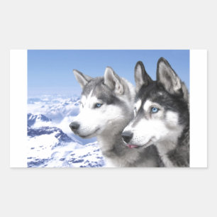 Siberian Huskies Rechteckiger Aufkleber