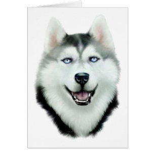 Siberian Husky