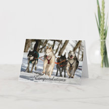Siberian Husky Abschluss Card