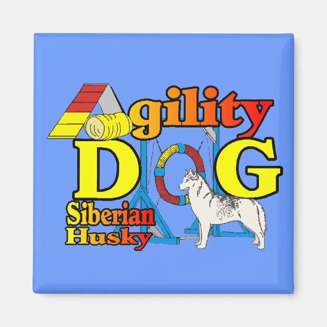 Siberian Husky Agility Magnet (Vorne)
