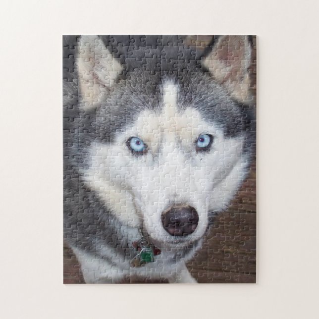 Siberian_Husky_blue-mit Augen.png Puzzle (Vertikal)