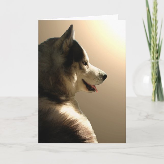 Siberian Husky Card / Alaskan Malamute Card Karte (Vorderseite)
