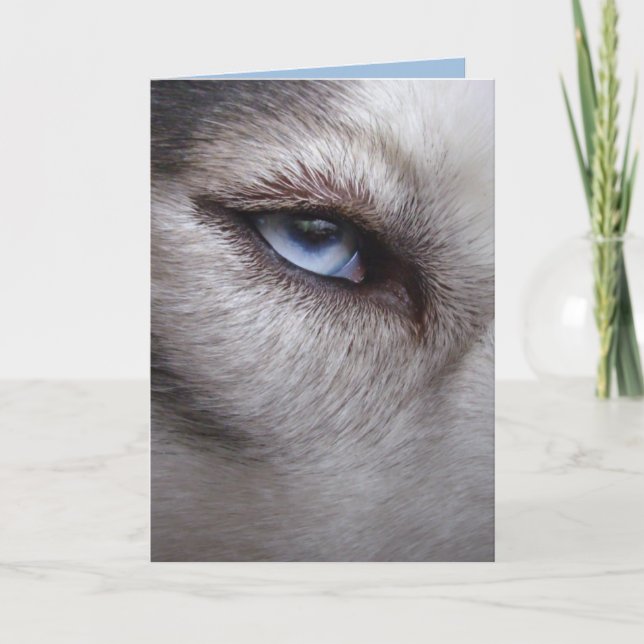 Siberian Husky Card Alaskan Malamute Card Karte (Vorderseite)