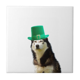 Siberian Husky Dog St. Patrick's Day Fliese