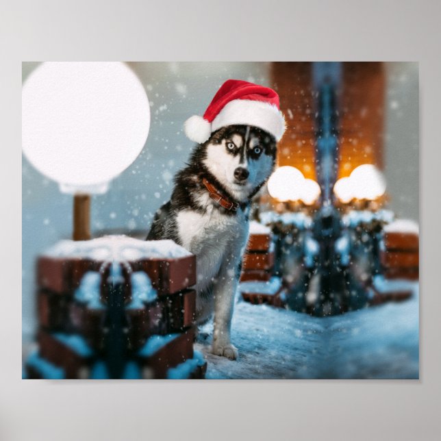 Siberian Husky dog wearing santa hat Poster (Vorne)
