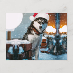 Siberian Husky dog wearing santa hat Postkarte