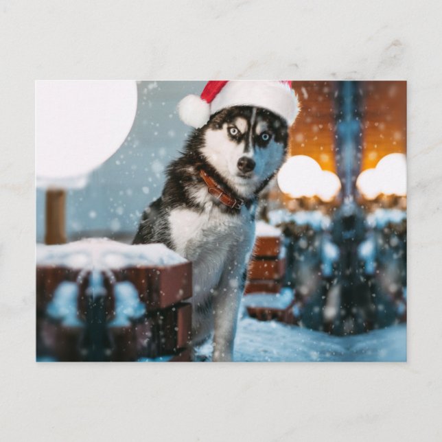 Siberian Husky dog wearing santa hat Postkarte (Vorderseite)