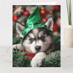 Siberian Husky Elf Welpe Weihnachtskarte Karte
